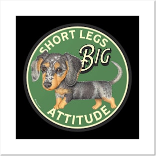 Dachshund-Short Legs, Big Attitude Posters and Art